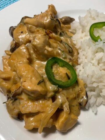 nicaragua creamy jalapeno chicken on a plate with rice