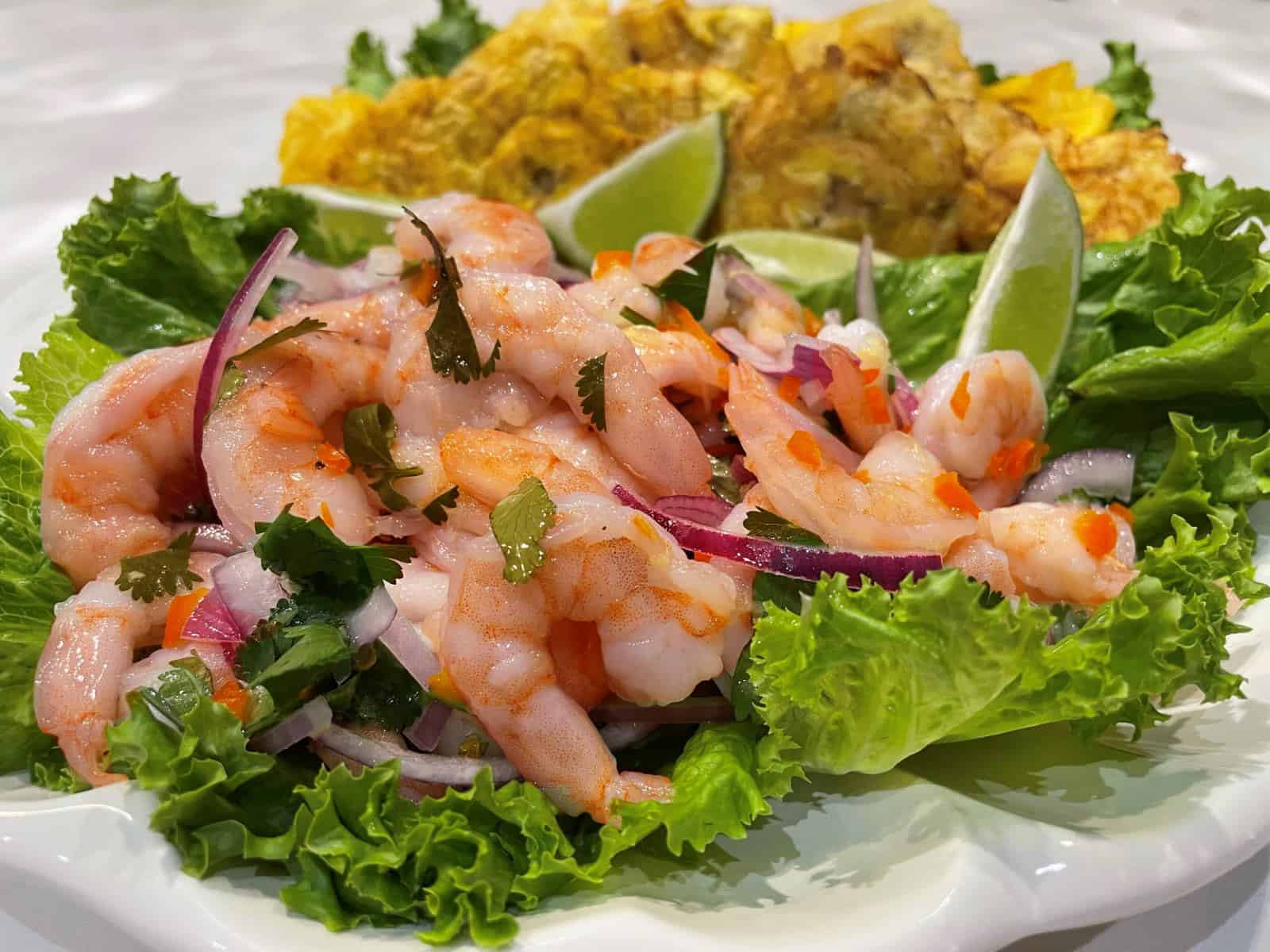 peruvian ceviche on a plate with patacones