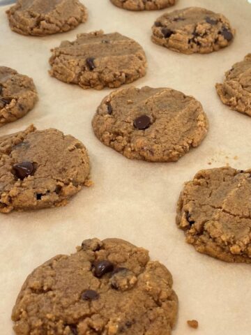 soft chewy peanut butter chocolate chip cookies on a cookie sheet
